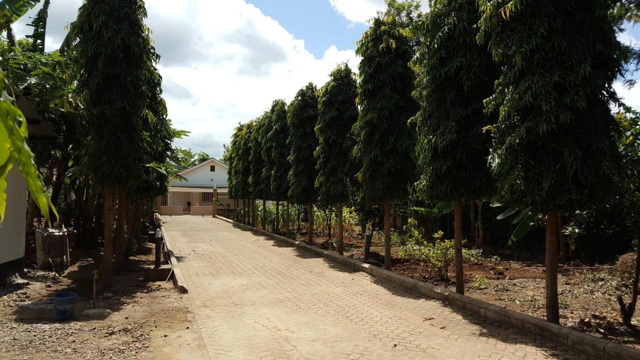 موشي Kilimanjaro Country House المظهر الخارجي الصورة